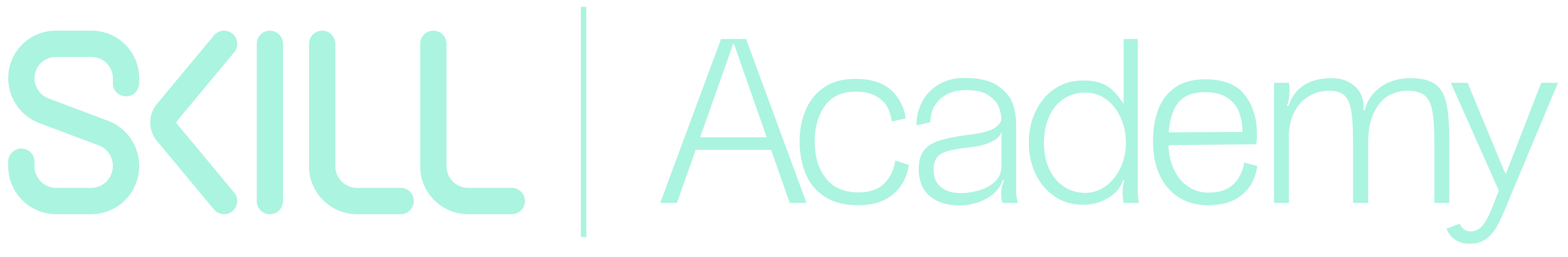 Skill Academy